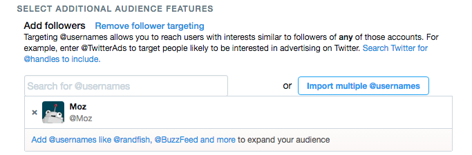 Twitter Ads Audience